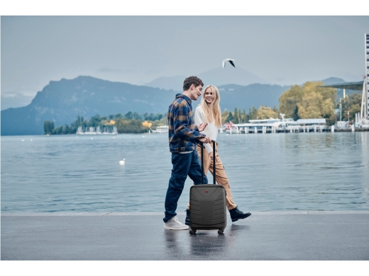 Изображение №9 | Чемодан «Pegasus», 39 л S (черный)