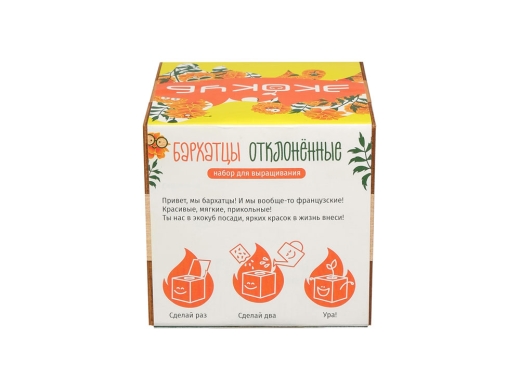 Изображение №4 | Набор для выращивания «Бархатцы» (желтый)