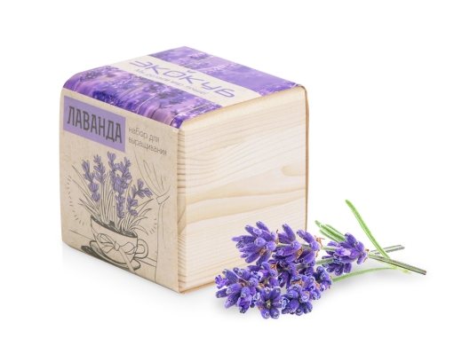 Изображение №1 | Набор для выращивания «Лаванда» (бежевый)