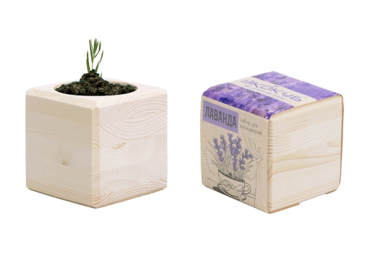 Изображение №5 | Набор для выращивания «Лаванда» (бежевый)