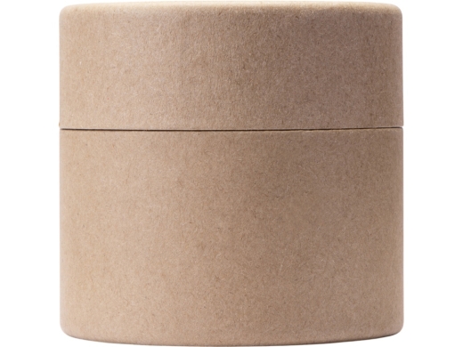 Изображение №6 | Набор автоароматов в тубусе «Boho 3» (прозрачный)