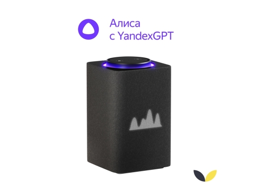 Изображение №1 | Умная колонка ЯНДЕКС Станция Макс с Алисой, с Zigbee, 65 Вт (графитовый)