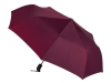 Изображение №5 | Подарочный набор с зонтом и термобутылкой в шопере (бордовый)