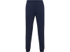 Изображение №1 | Брюки спортивные «Rodas», мужские L (темно-синий)