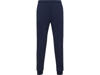 Изображение №1 | Брюки спортивные «Rodas», мужские L (темно-синий)