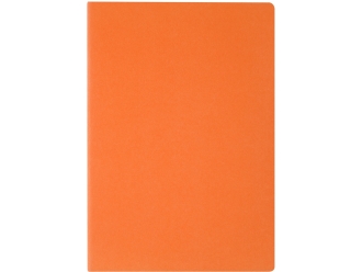 Изображение №2 | Бизнес-тетрадь А4 «Pragmatic» (оранжевый)
