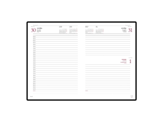 Изображение №2 | Ежедневник А5 датированный «Leader» на 2025 год (красный)