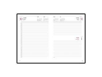 Изображение №2 | Ежедневник А5 датированный «Velvet» на 2025 год (красный)