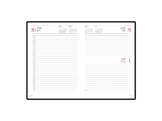 Изображение №2 | Ежедневник А5 датированный «Velvet» на 2025 год (красный)