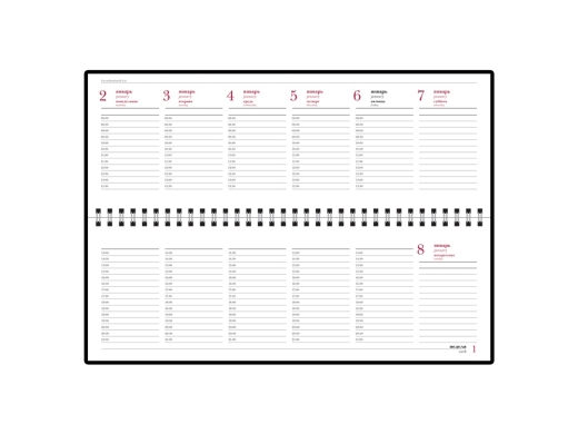 Изображение №2 | Планинг датированный «Ideal New» на 2025 год (зеленый)