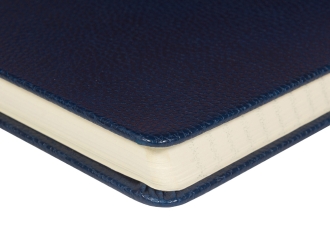 Изображение №4 | Ежедневник А5 датированный «Megapolis Loft» на 2026 (темно-синий)