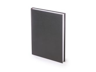 Изображение №1 | Ежедневник датированный А5 «Ideal New» на 2026 год (черный)