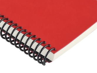 Изображение №3 | Ежедневник недатированный А5 «Agenda» (красный)