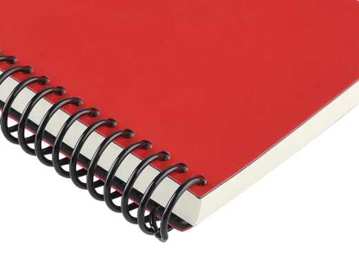 Изображение №3 | Ежедневник недатированный А5 «Agenda» (красный)