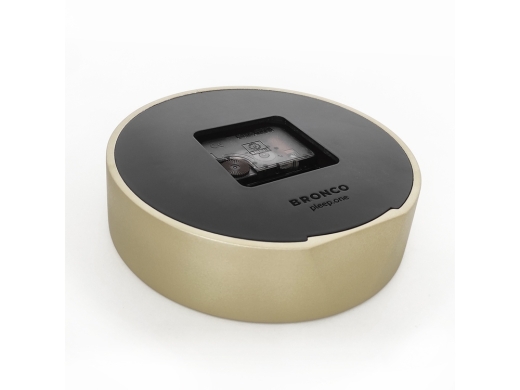 Изображение №5 | Часы настольные Bronco «Sarah» XXS (золотистый)