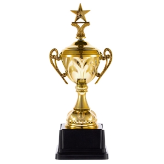 Изображение №1 | Кубок Top Star, золотистый