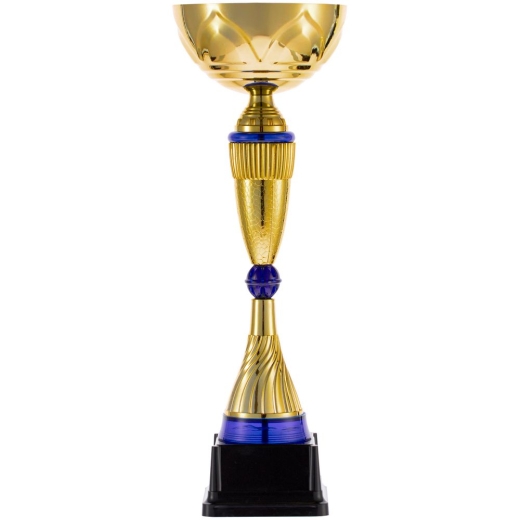 Изображение №2 | Кубок Awardee, малый, синий