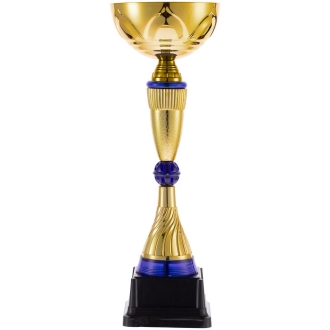 Изображение №1 | Кубок Awardee, средний, синий