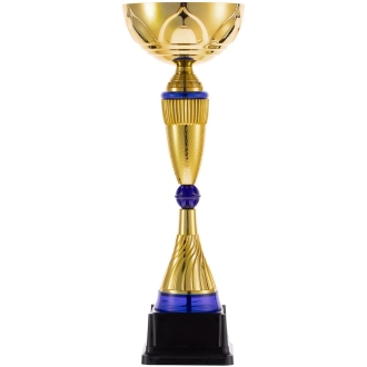 Изображение №1 | Кубок Awardee, большой, синий
